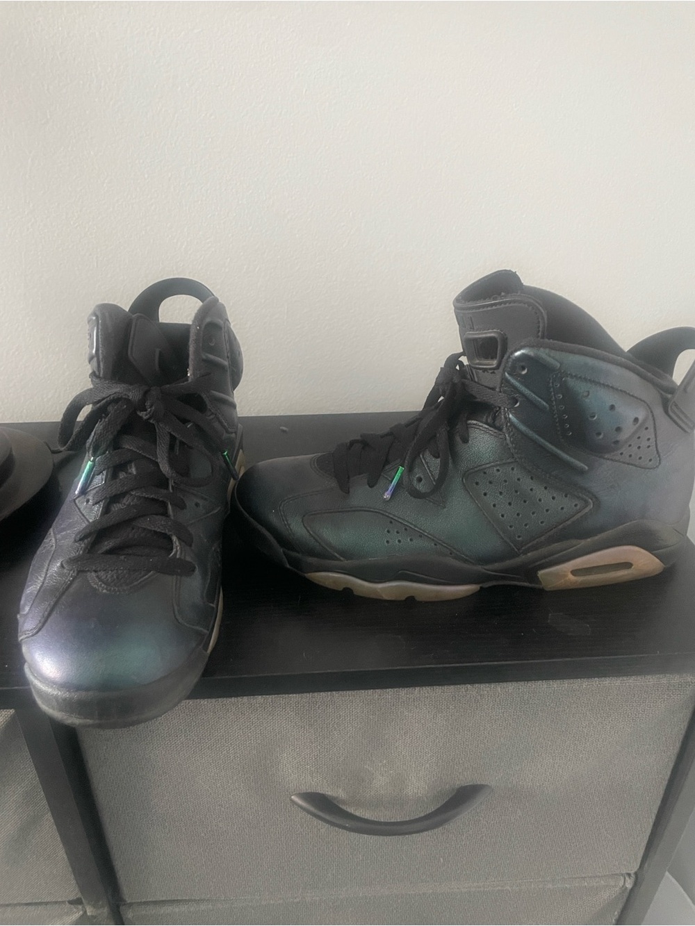 Jordan 6 Iridescent chameleons